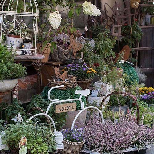 Un jardín lleno de muchas plantas en macetas y flores.