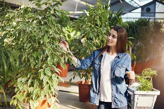 Una mujer está de pie junto a una planta en maceta en un invernadero.