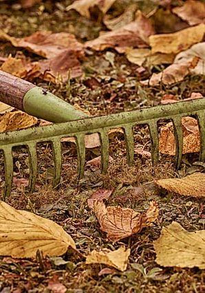 Un rastrillo verde está encima de una pila de hojas.