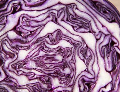 Un primer plano de un repollo morado cortado por la mitad.