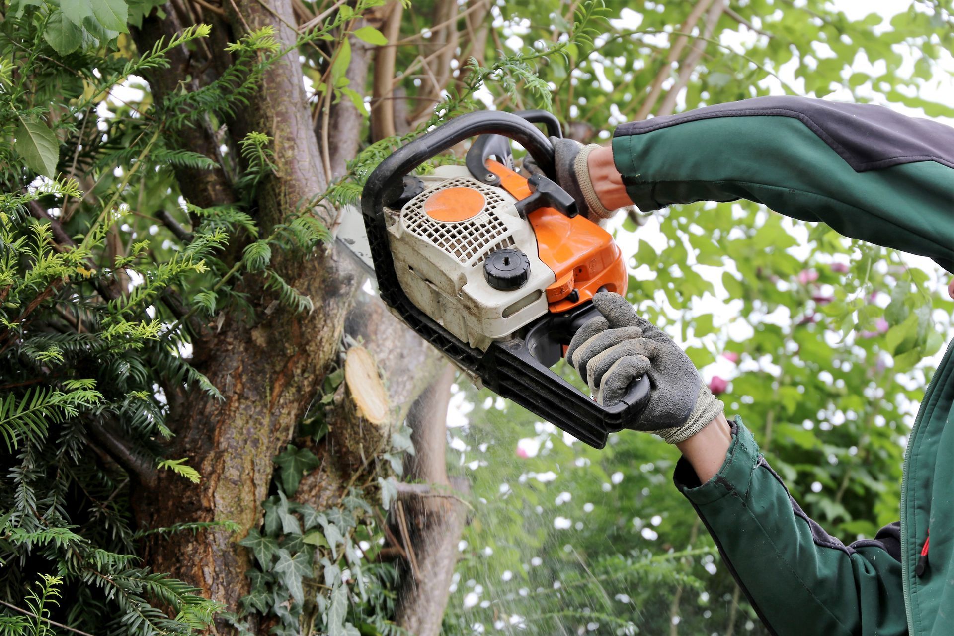 Coupe d'une branche d'arbre avec une tronçonneuse
