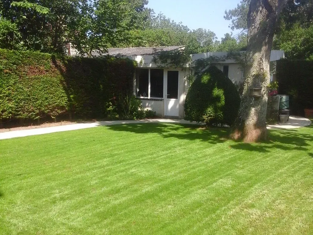 Jardin vide avec gazon fraîchement tondu