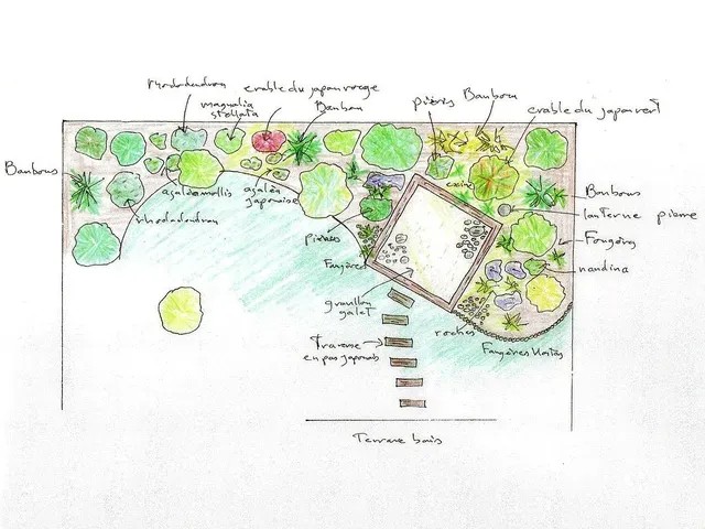 Croquis d'aménagement de jardin