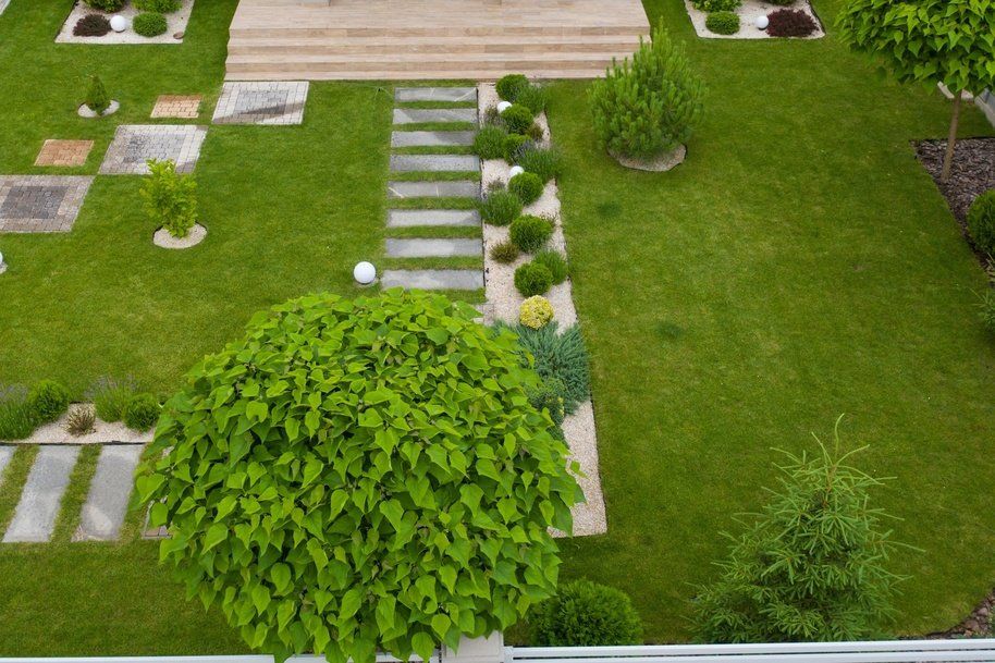 Grand jardin avec terrasse, dalles, allée principale, arbres et plantes diverses