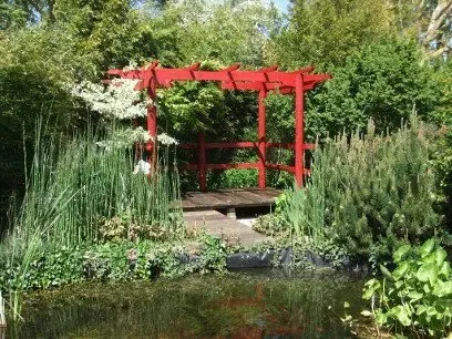 Coin de jardin avec terrasse en bois à côté d'un bassin