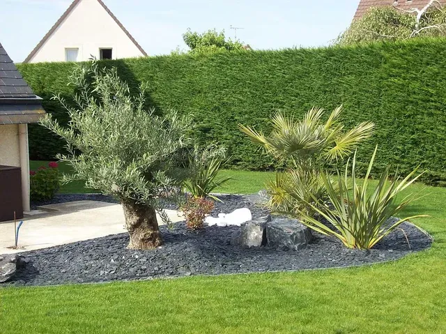 Massif de plantes avec minéraux sombres au sol