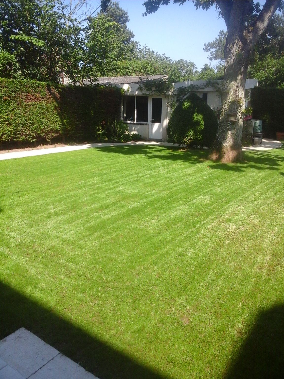 Buse d'arroseur automatique