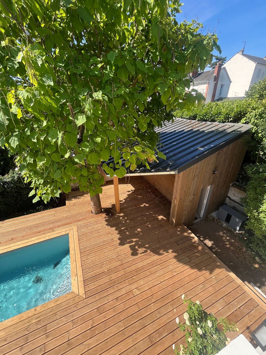 Patio dans le jardin avec un arbre, une piscine bleue et un pavage en briques, à côté d’un petit cabanon