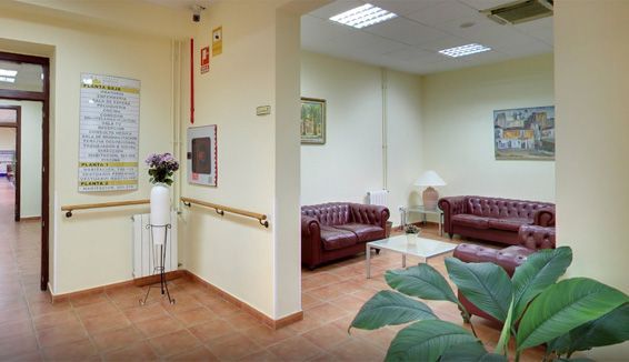 Una sala de estar con dos sofás, una mesa y una planta.