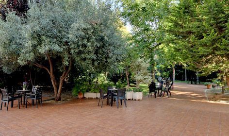 Un patio con mesas y sillas en un parque rodeado de árboles.