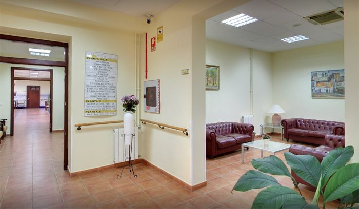 Una sala de estar con un sofá, sillas, una mesa y una planta.