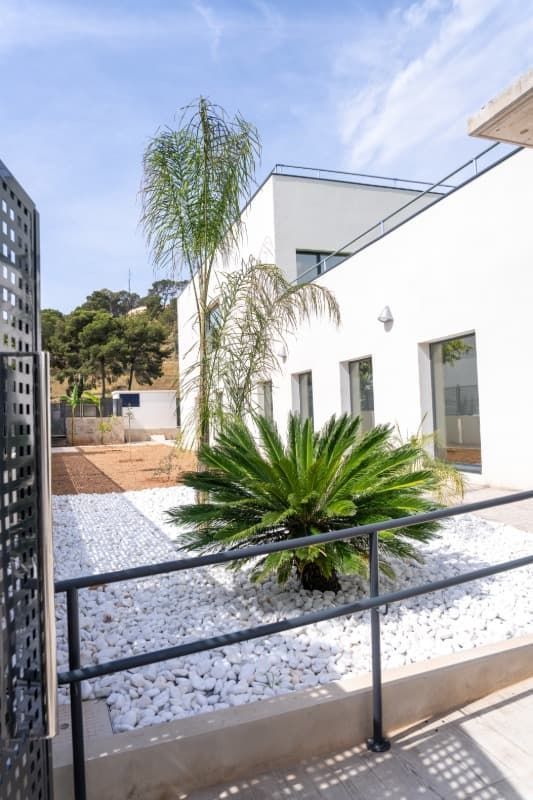 Exterior de un edificio blanco con una rampa y una palmera en un jardín de guijarros blancos.