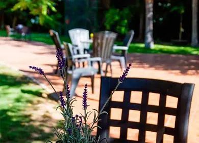Una silla con flores violetas delante de una mesa y sillas.