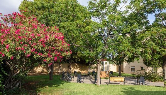 Un parque con zona de juegos, bancos, árboles y flores.