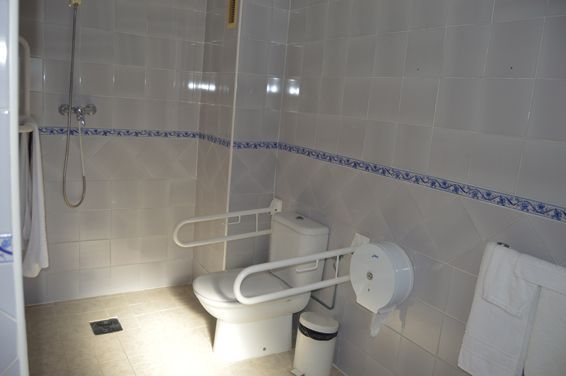 Un baño con inodoro, ducha y papelera.