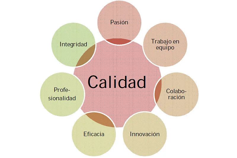 Un diagrama con la palabra calidad en el medio