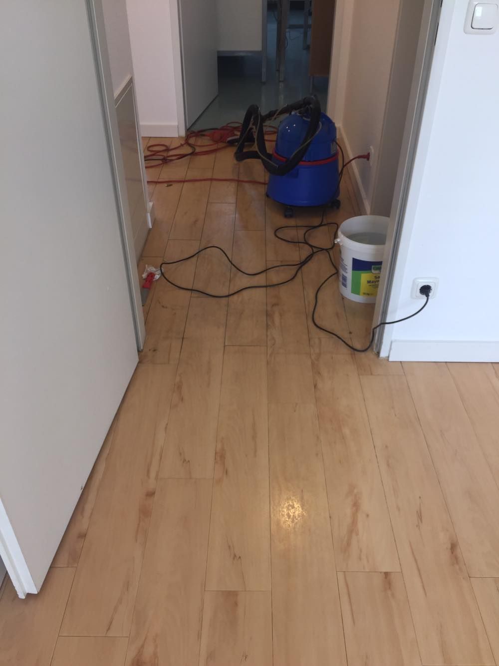 Ein Staubsauger steht neben einem Eimer Farbe auf einem Holzboden.