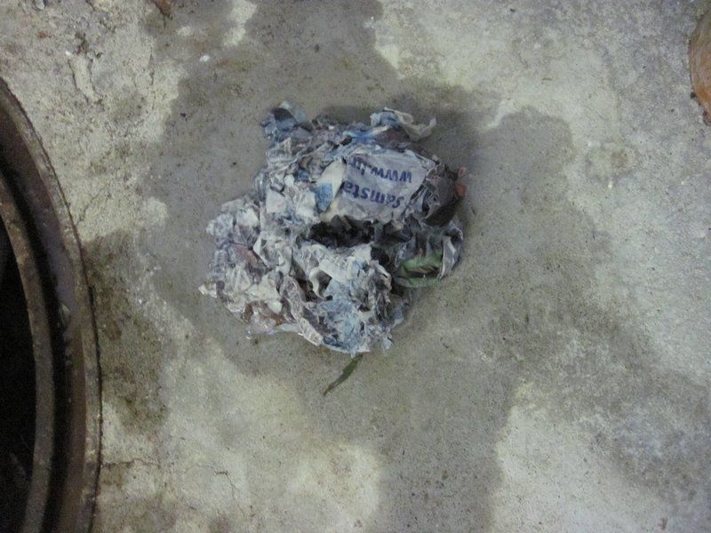 Kanaluntersuchung - PRO Liner