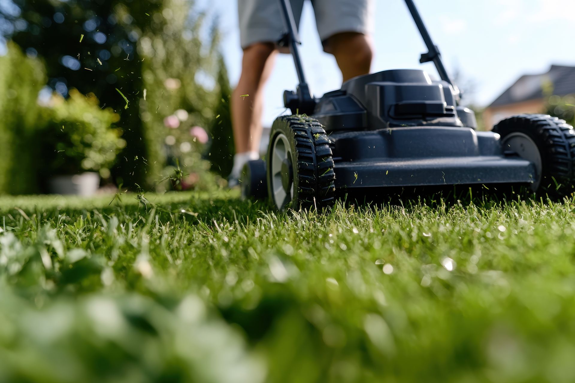 Une tondeuse dans un jardin