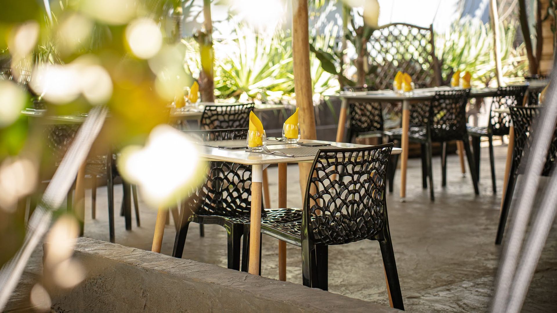 Espace de restauration en plein air avec des chaises en osier, des tables en bois et des boissons jaunes dans un jardin