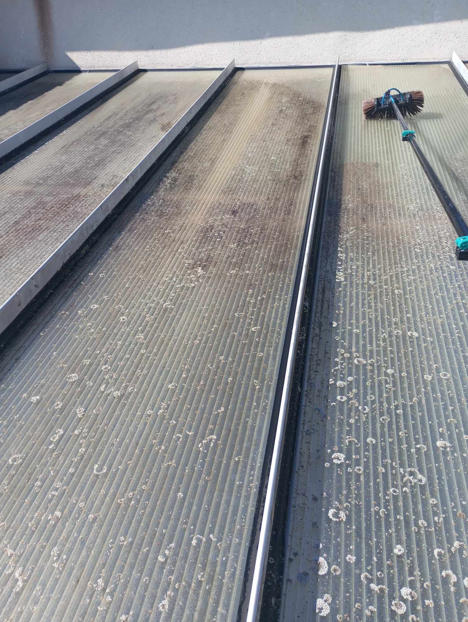 nettoyage toiture de véranda 