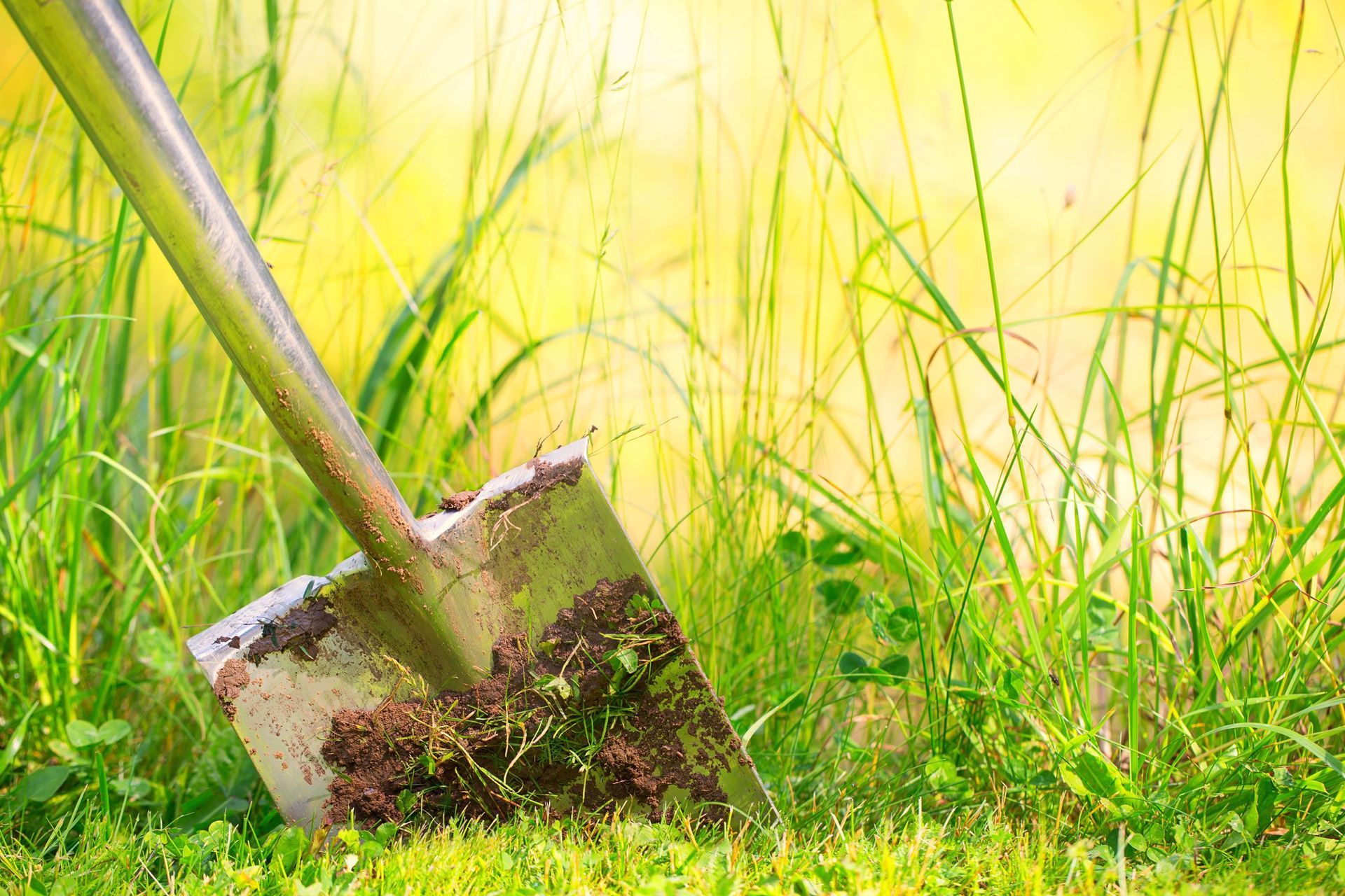 Schaufel - Berweger Gartenbau AG