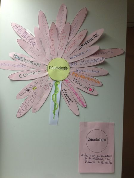 Enseignante Formatrice Naturopathie