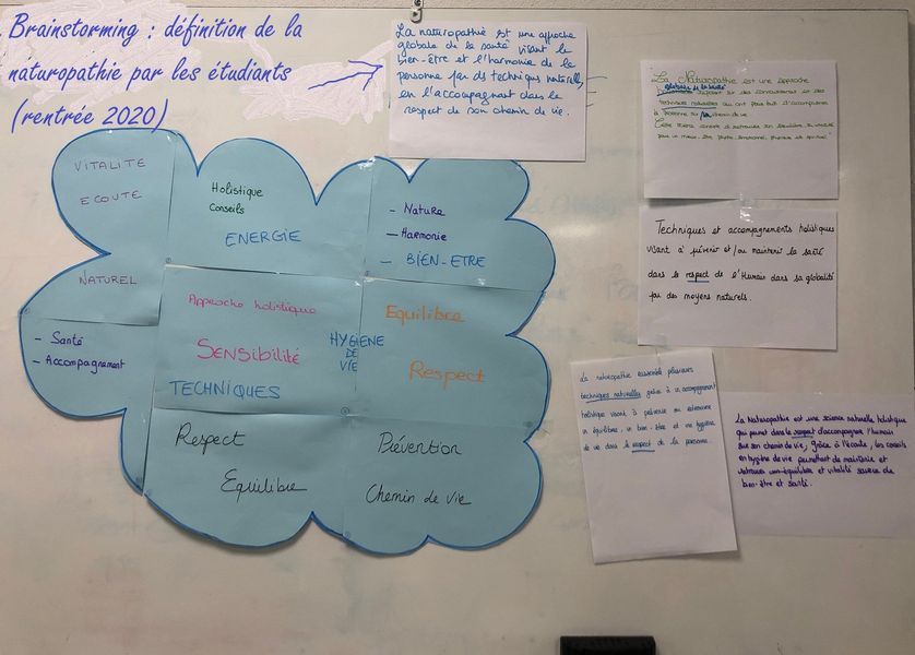 Nuage de mots naturopathie