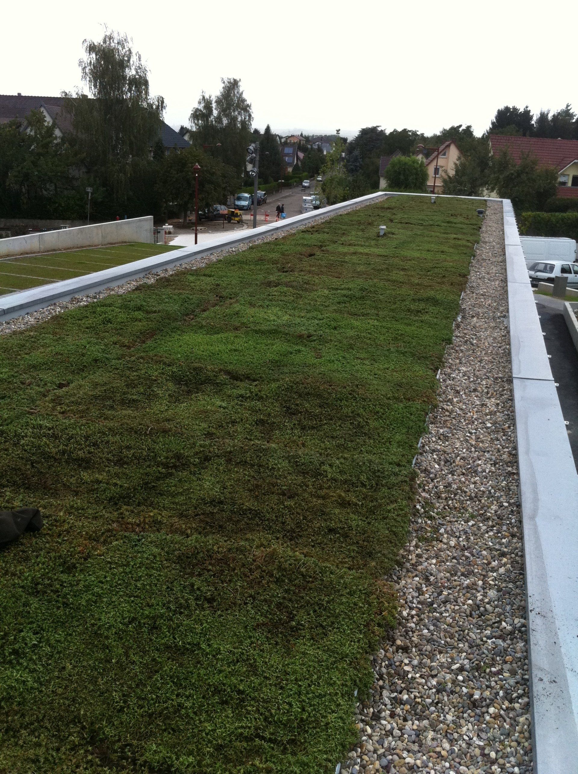 Toiture végétalisée