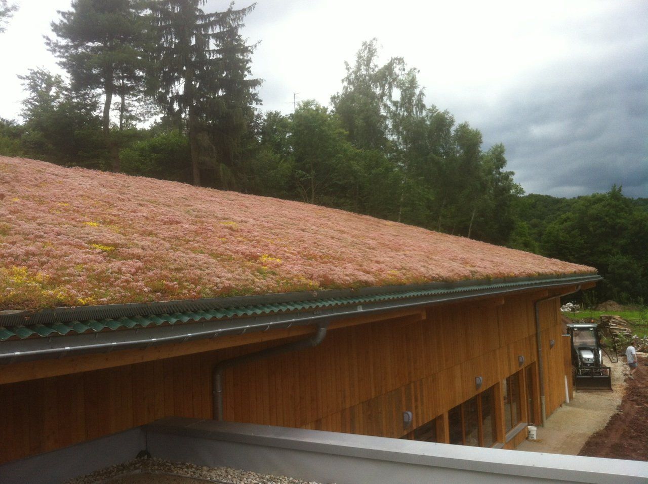 Toitures végétalisées par Séquoia Paysage