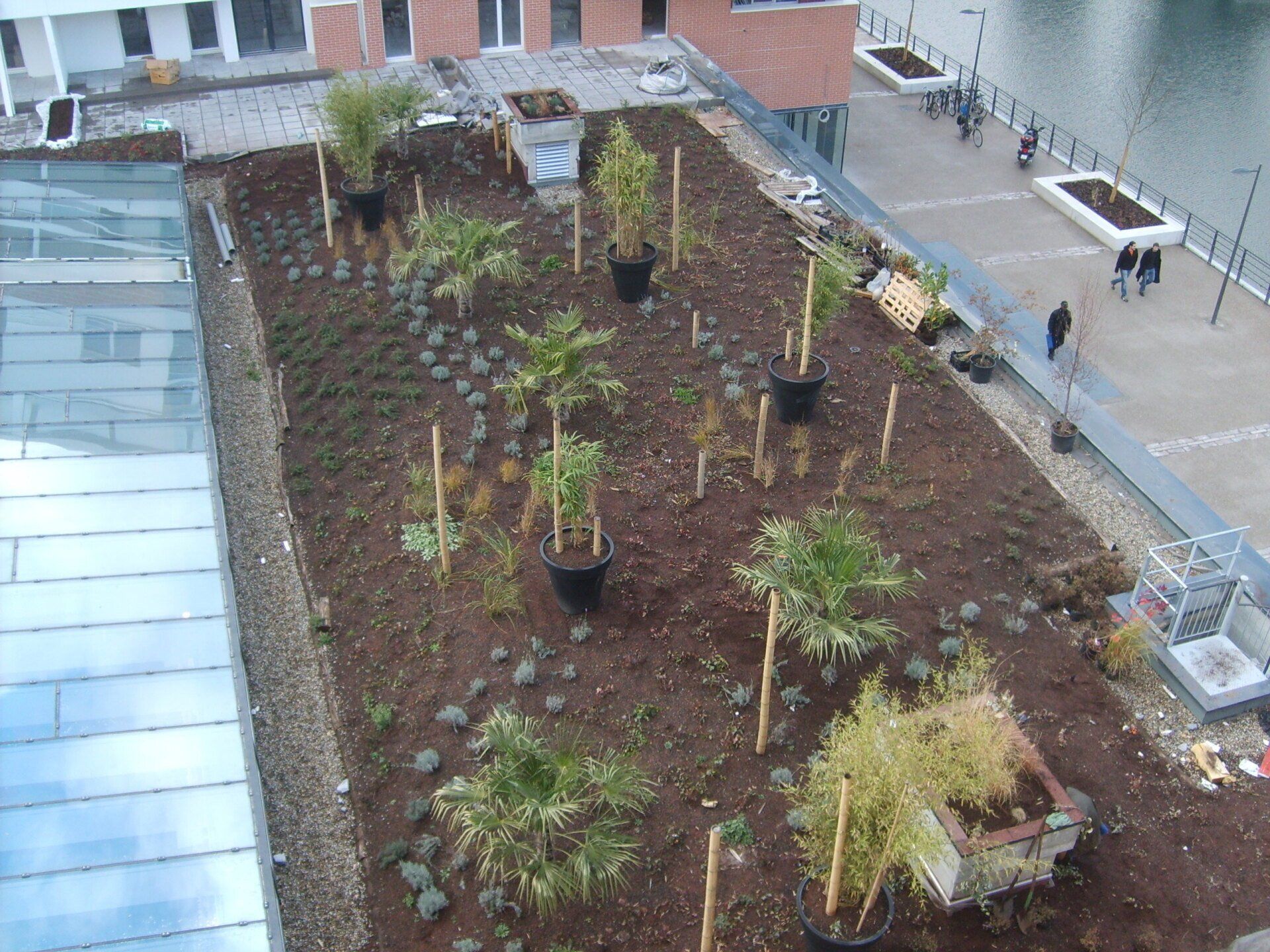 Implantation de toit végétal