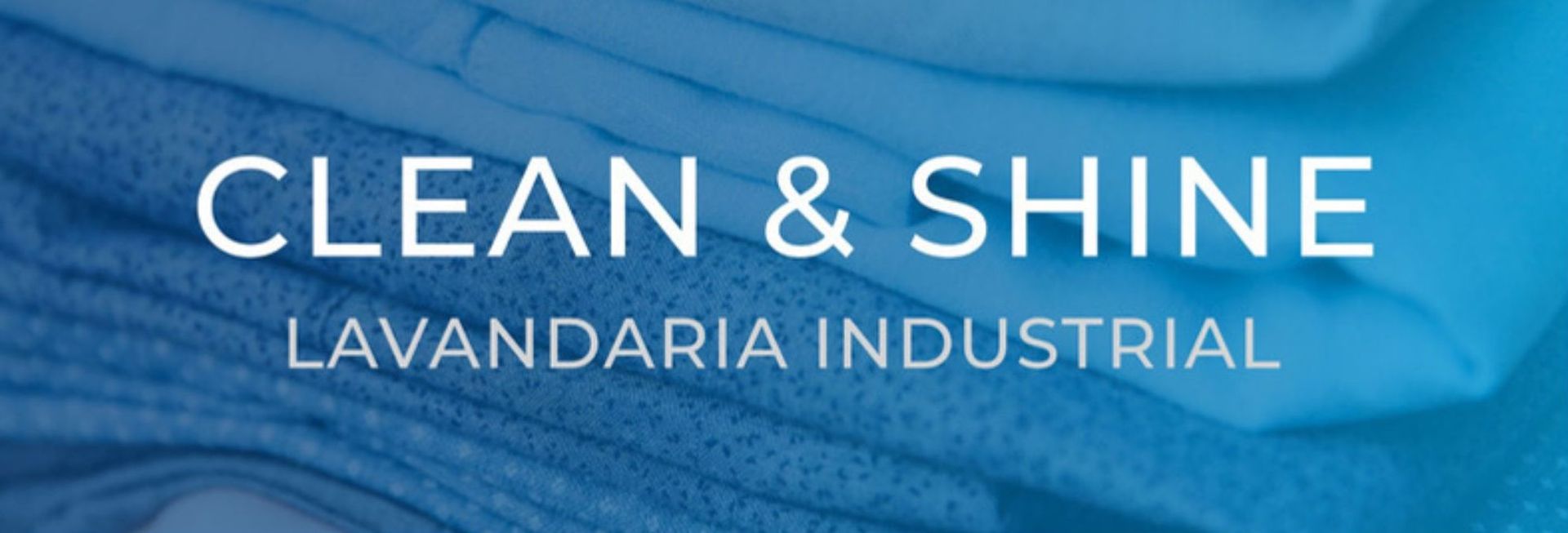 logo Clean and Shine