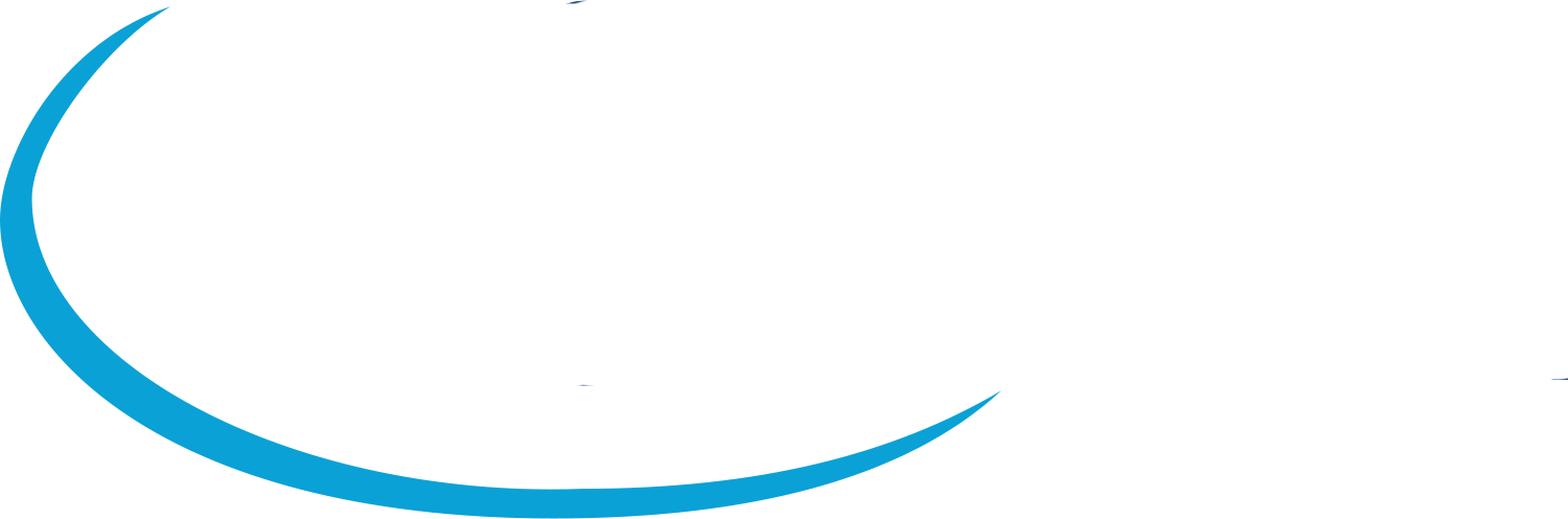 logo Clean and Shine
