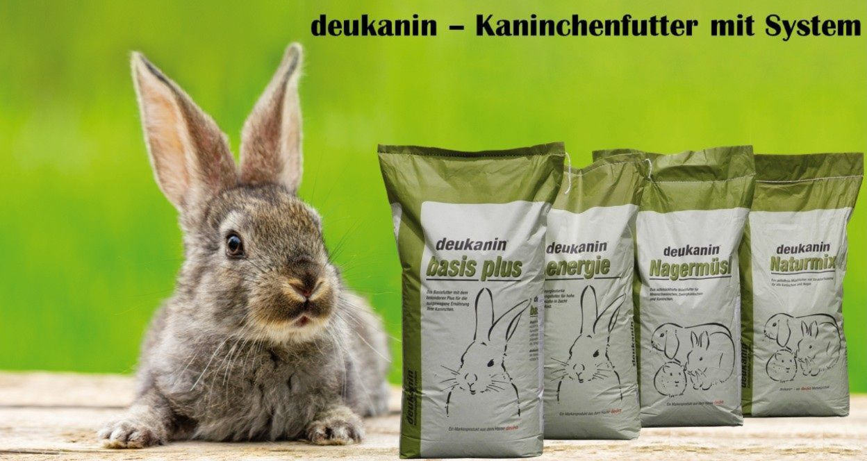 deukanin foto