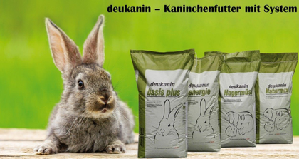 deukanin foto
