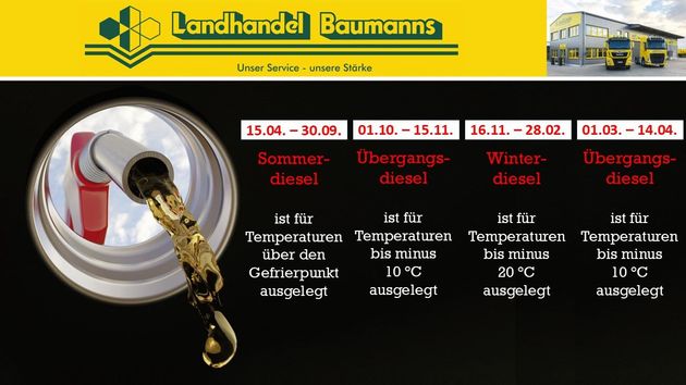 Flyer Karnevalstage 