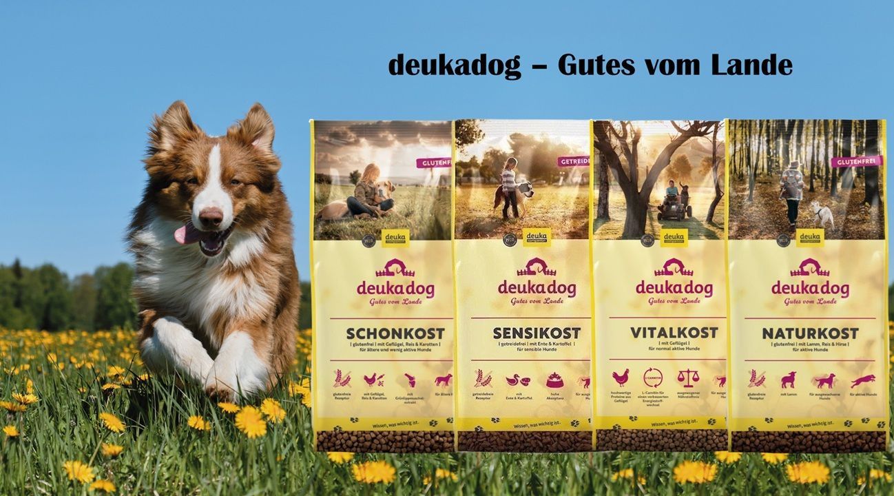 deuka dog foto