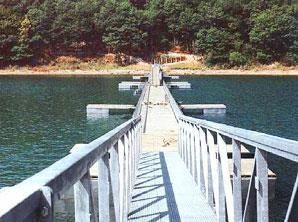 Ein Steg führt zu einem See mit Bäumen im Hintergrund.