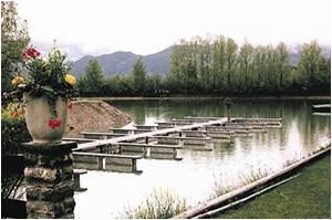 Eine Vase mit Blumen steht neben einem Steg mit Blick auf einen See.