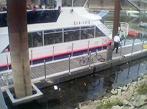 Ein Boot mit dem Wort „Sea Club“ darauf