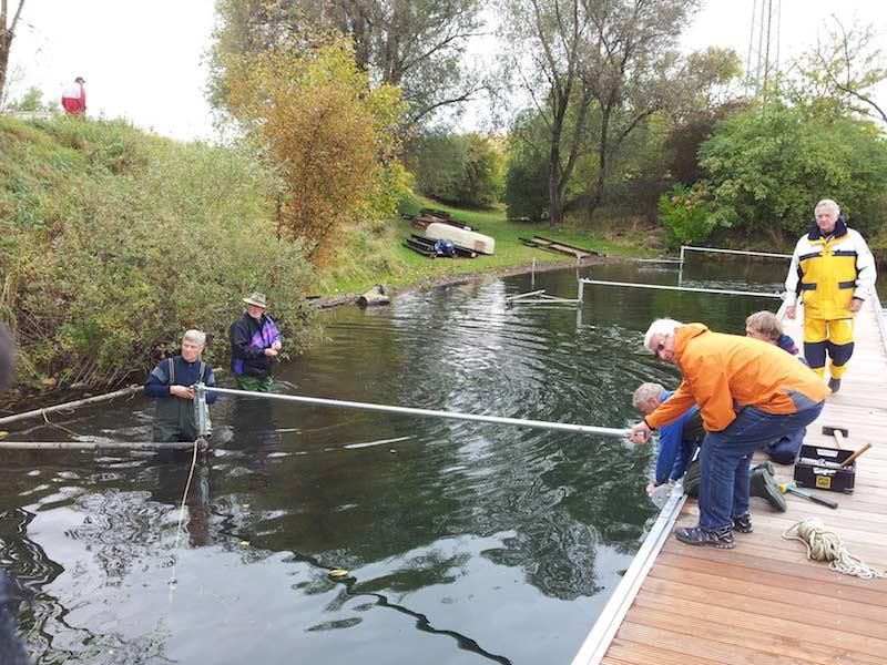 Eine Gruppe von Menschen steht auf einem Dock in der Nähe eines Gewässers