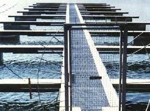 Eine Brücke über ein Gewässer mit einem Zaun darum herum.