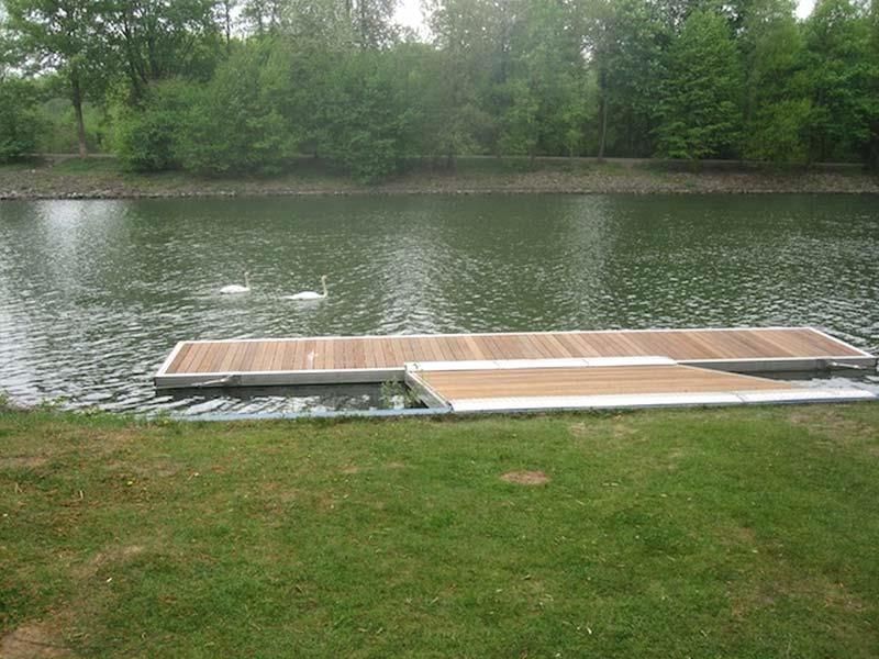 Ein Schwan schwimmt in einem See neben einem Holzsteg.