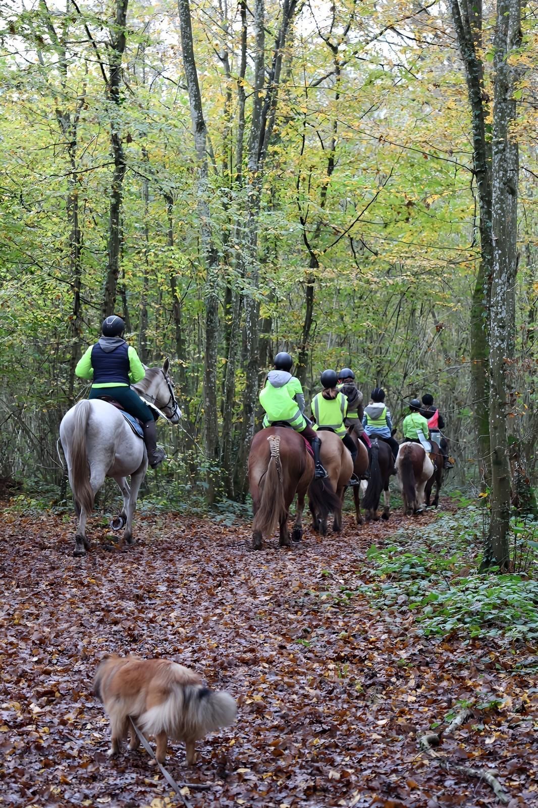 Groupe en formation ATE