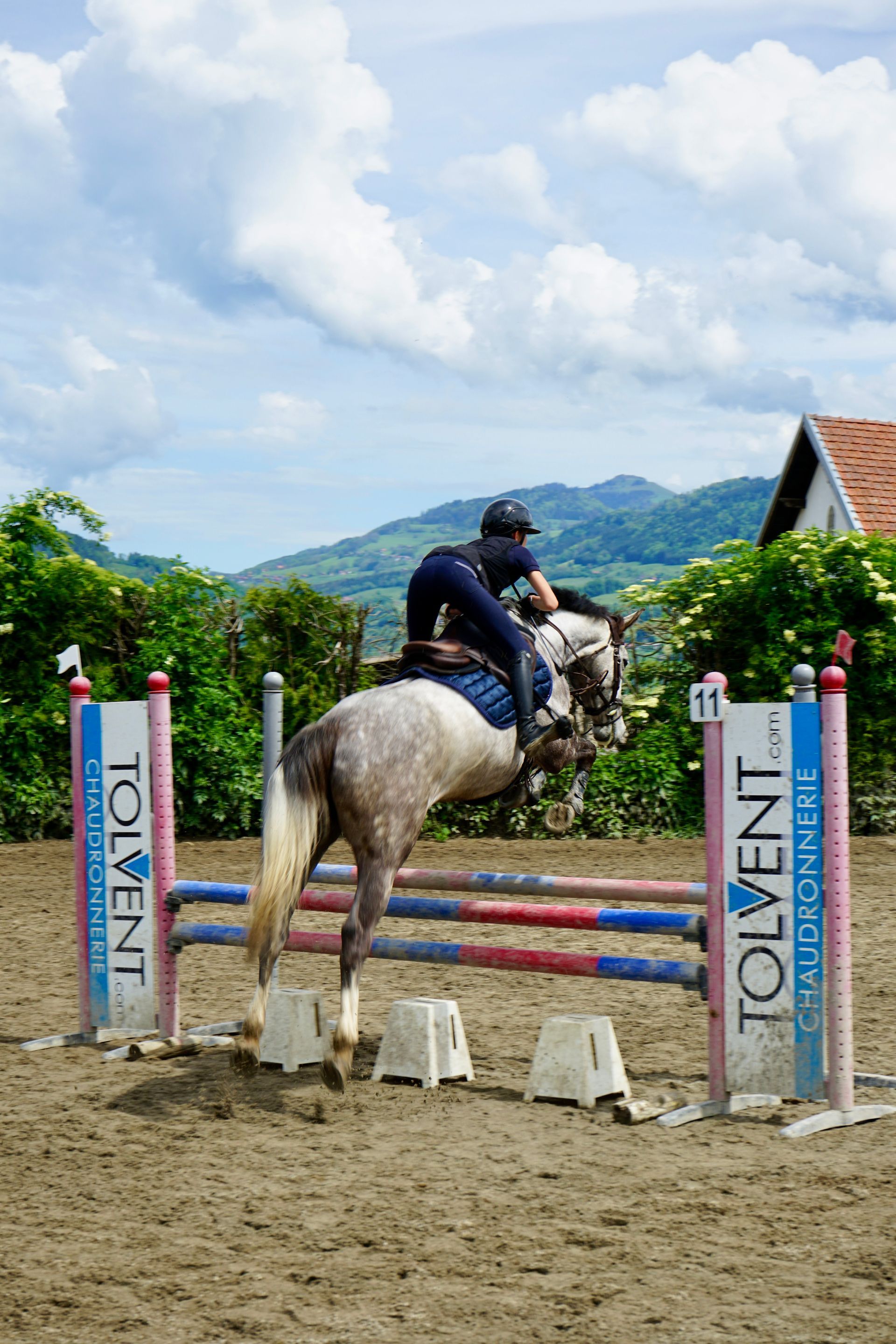 Stage vacance cheval