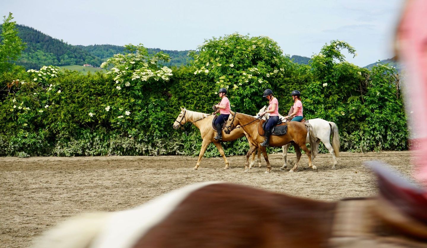 Des cavalières avec des chevaux