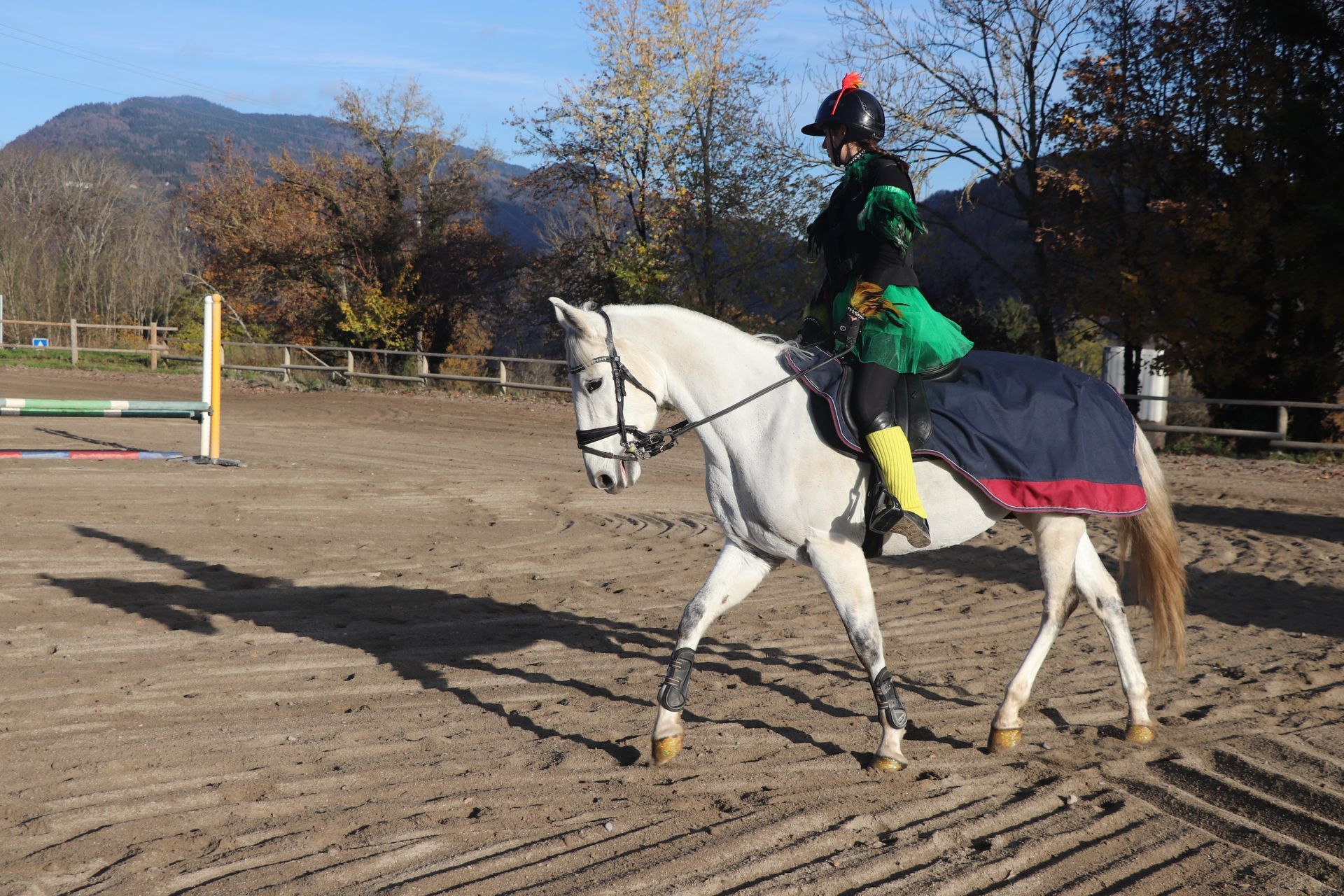 Cavalière déguisée pour un événement 