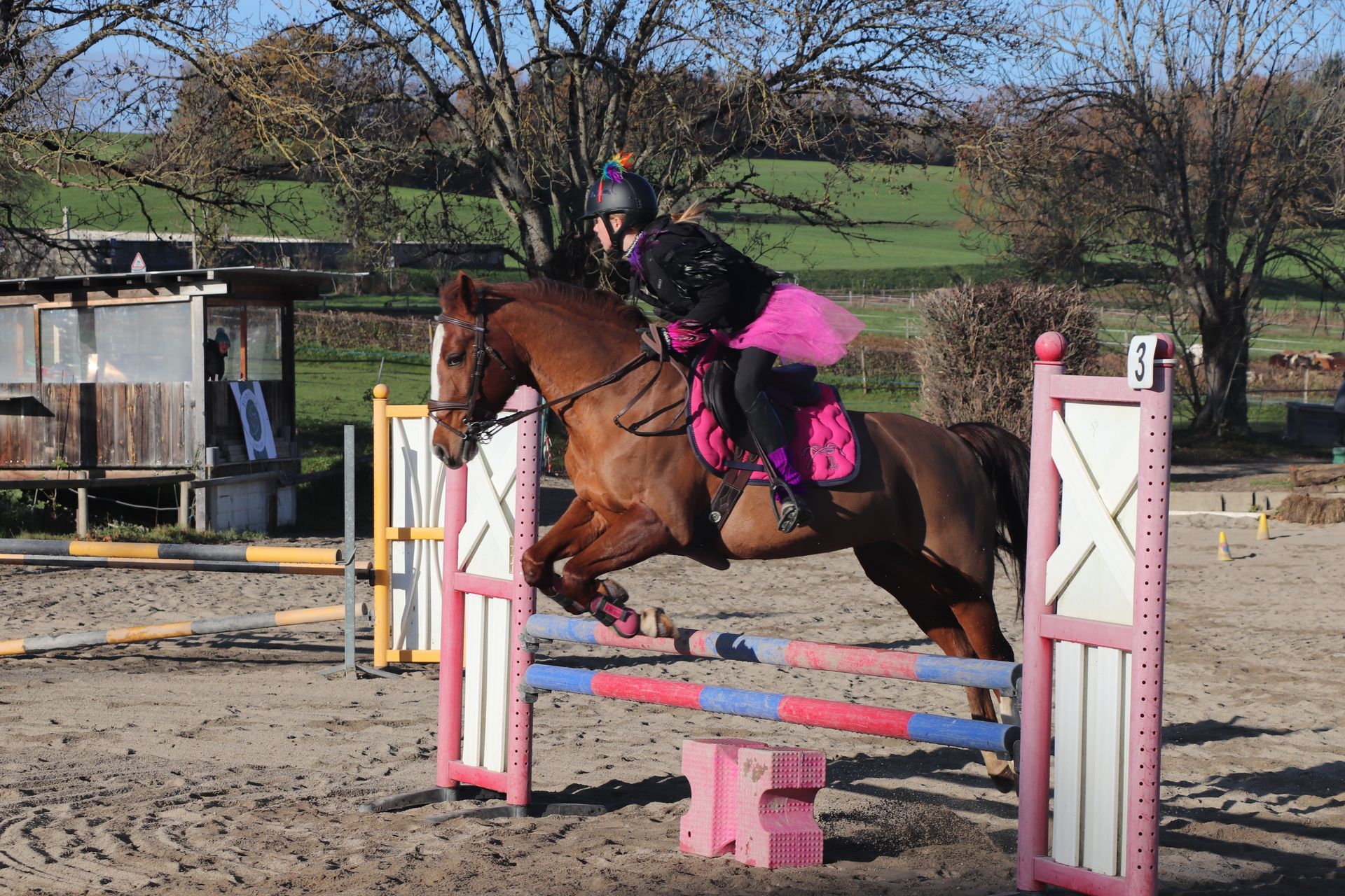 Saut d'obstacle et cavalière déguisée