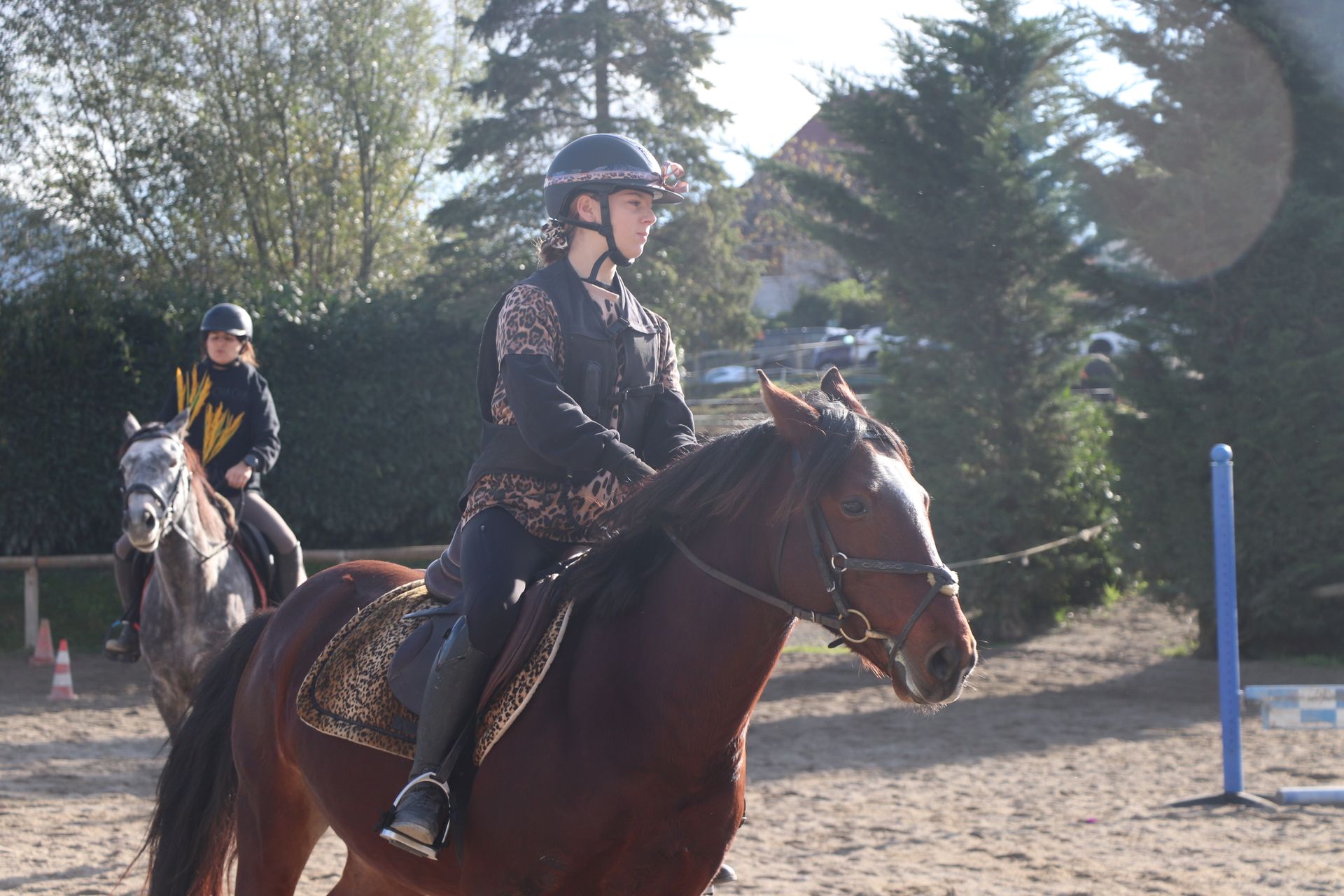 Cavalières avec chevaux
