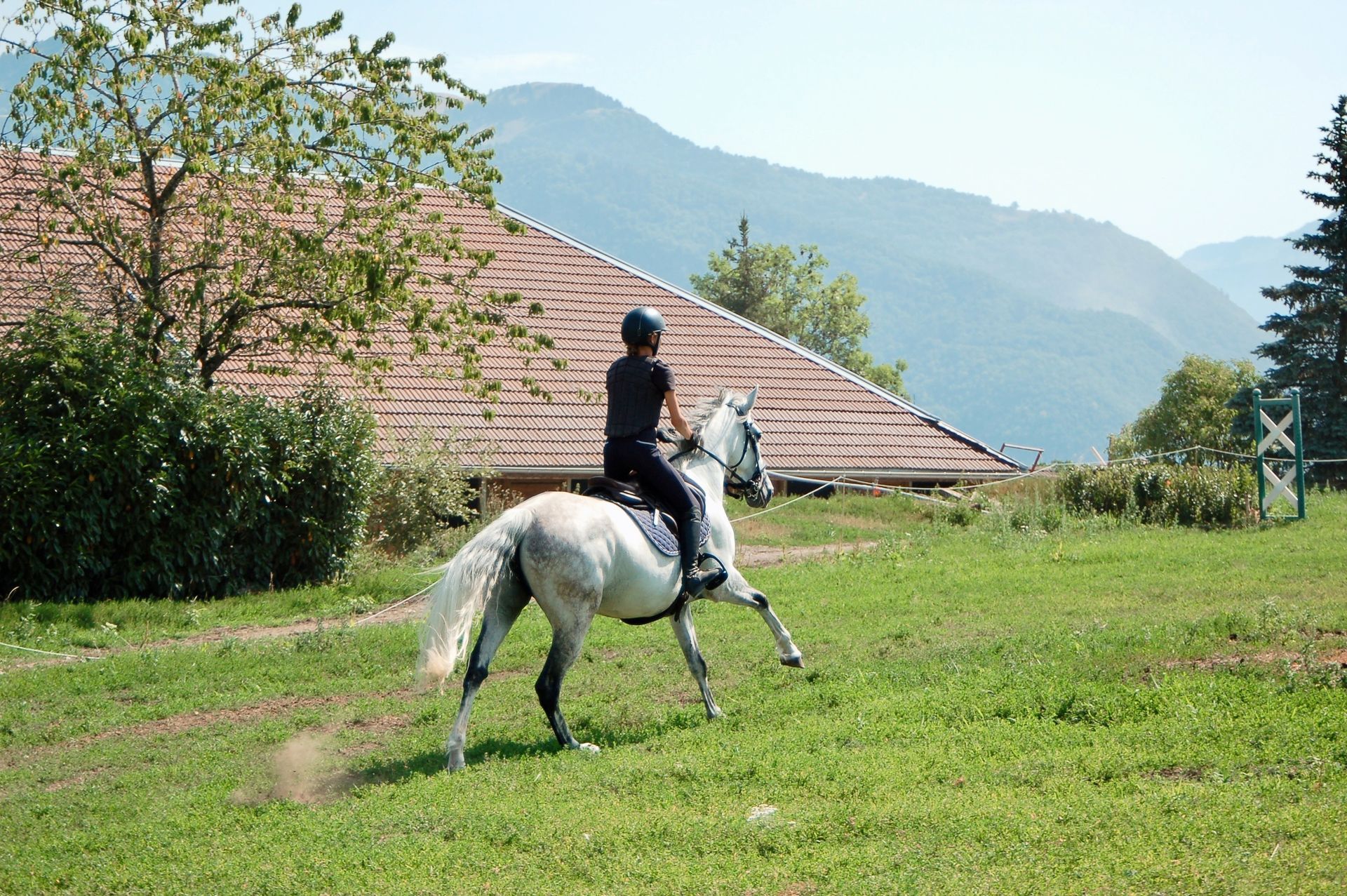 Jeune cavalière sur un cheval en balade